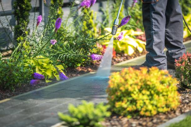 Best Dumpster Area Cleaning  in Scranton, PA